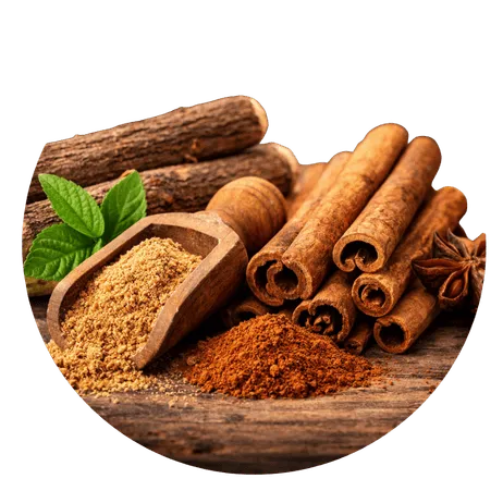 Cognitive Circulation Support